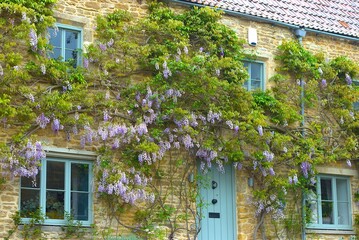 Gyzinie an Häuschen