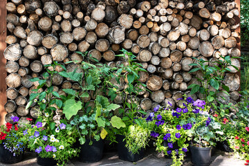 A warehouse of firewood and swing at the traditional alpine house.