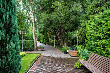 A beautiful garden landscape with a green lawn, hedge, bushes and trees.