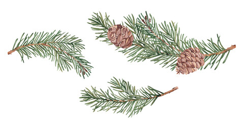 Pine or Fir Branches with cones set. Watercolor Hand painted illustration of Winter plant with green needles on a white background. Pine or Spruce Twig For Christmas design, festive decor, packaging
