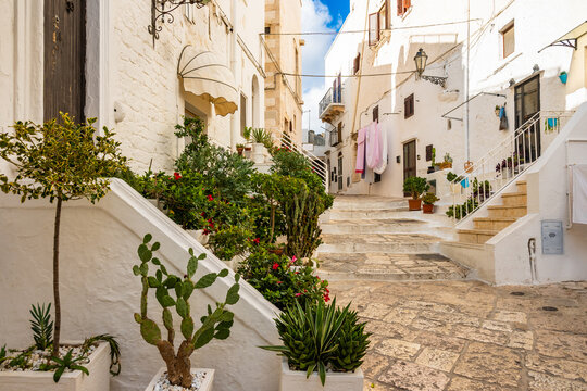 Picturesque whitewashed alley lined with plants and stone steps leading uphill in Ostuni town, Apulia, Italy