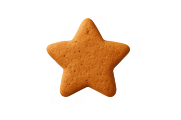 Gingerbread star cookie for christmas holiday baking