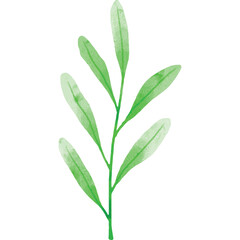 Delicate Green Leafy Branch With Soft Watercolor Texture Isolated On White Background Natural Element For Design