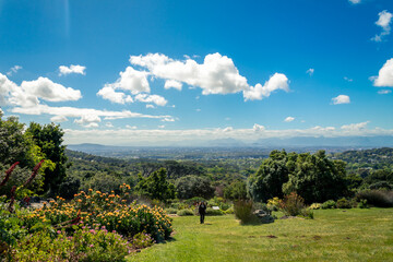 a photo of the Cape Town Biodiversity Park 