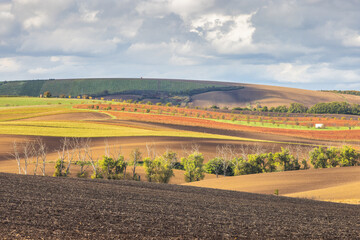 The country of South Moravia in the Czech Republic, Europe. Rolling farmland with patterned crops,...