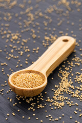 Amaranthus - Raw amaranth seeds in a measuring spoon