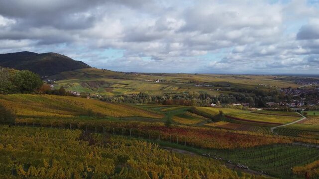 Weitblick &uuml;ber die Deutsche Weinstra&szlig;e: Farben des Herbstes