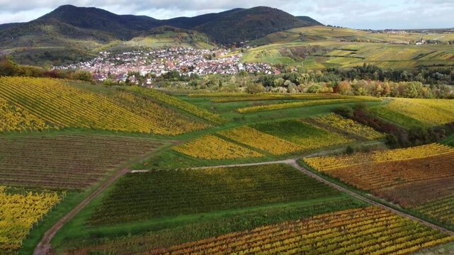 Zwischen Sonne und Schatten: Dramatischer Himmel &uuml;ber Rebst&ouml;cken