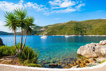 Green agave plants on coastal path and beautiful view of Mikros Gialos bay, Lefkada island, Greece