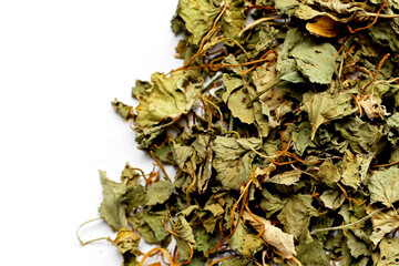 Dried gotu kola herb with leaves, stems, and roots