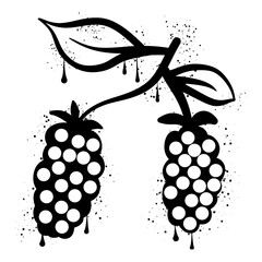 Blackberry fruit with black spray paint graffiti