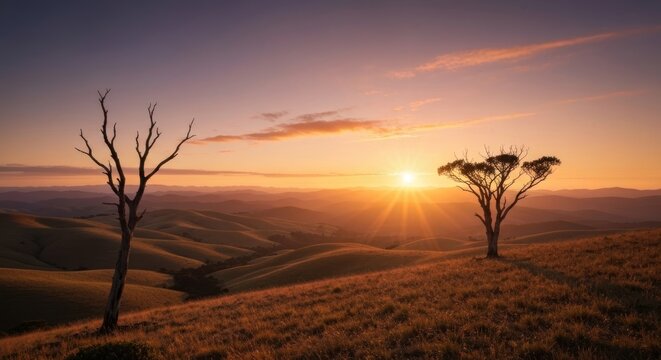 Scenic landscape with two trees in golden hour light, rolling hills