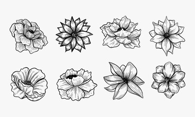 Decorative floral sketch set design