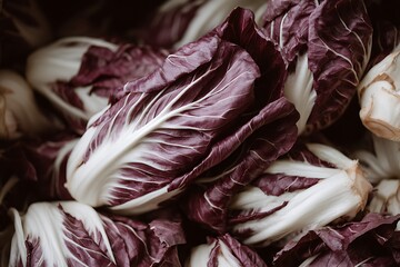 Fresh, vibrant radicchio harvest ready for delicious salads and healthy meals, perfect for farm-to-table cuisine and culinary creations to inspire consumers
