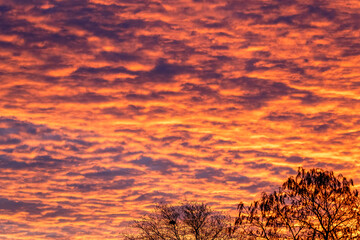 sunset over the field