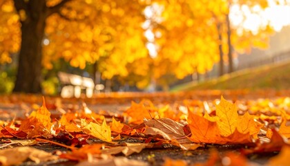 Autumn scene with vibrant yellow and orange foliage on the ground in a park setting