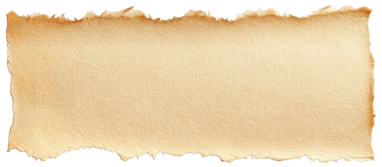 Torn edge tan paper texture on black background, old parchment look