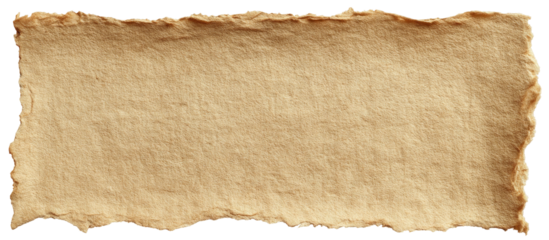 Torn-edged parchment with an aged, textured appearance
