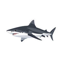 Obraz premium Cartoon Shark Vector Illustration