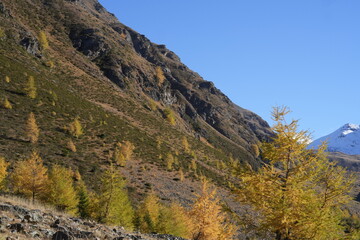 PANORAMA ALPINO DI ALTA QUOTA