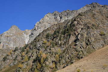 ALPI IN AUTUNNO