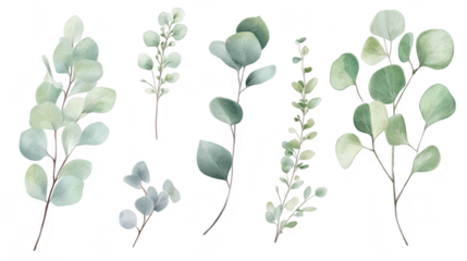 A collection of delicate green leaves various shapes and sizes. arranged artistically on a white background. ideal for nature-themed designs. invitations. or botanical illustrations