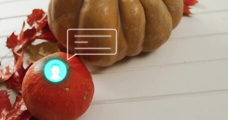 Displaying red gourd on white slats showing teal avatar bubble with red leaves and tan pumpkin