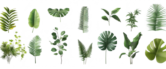 A collection of various green leaves arranged artistically on a light background. the diversity of plant life. ideal for nature-themed designs and backgrounds