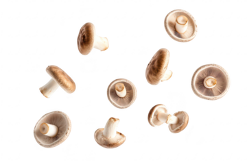 A collection of fresh. whole mushrooms scattered artistically against a clean white background. their natural shapes and textures. ideal for culinary or health-related use