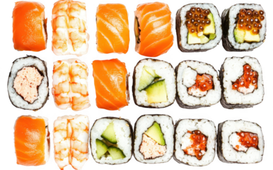 A assortment of sushi rolls. colorful ingredients like salmon. shrimp. and avocado. beautifully arranged on a white background. ideal for culinary presentations or food blogs
