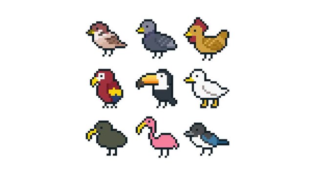 8-bit pixel art various types of bird set. looped animation 4k 30fps