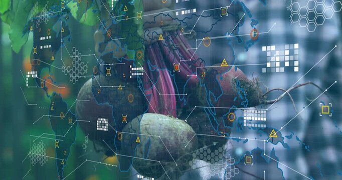 Woman holding beetroots to camera, farm data map overlay layering over produce, showing origin