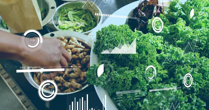 Camera panning, hands scooping tubers into bag for packing tamping HUD floating over bowl of greens