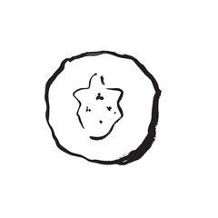 Scientific style drawing highlighting kiwi seed arrangement and rind
