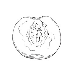 Soft textured peach halved with exposed seed cavity on plain background