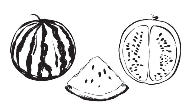 Bold ink drawing of watermelon slices for marketing visuals