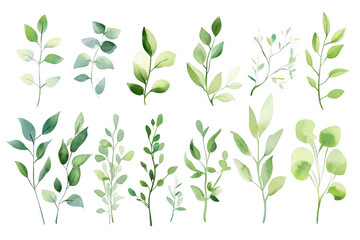 Obraz premium A collection of various green botanical illustrations different types of leaves and plants. perfect for use in nature-themed designs. backgrounds. and art projects