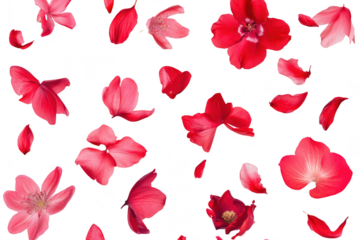 A collection of red and pink flower petals scattered against a transparent background. ideal for use in floral designs. invitations. or romantic themes