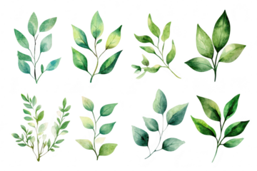 A collection of beautifully illustrated green leaves in various shapes and sizes. the diversity of foliage. perfect for nature-themed designs and backgrounds