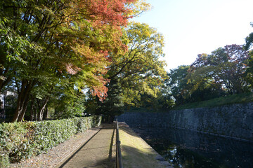 二条城　北堀の紅葉　京都市中京区二条城町