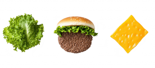 A fresh. appetizing arrangement of a hamburger with a beef patty. crisp lettuce. and a slice of cheese on a clean white background. ideal for food photography or culinary presentations