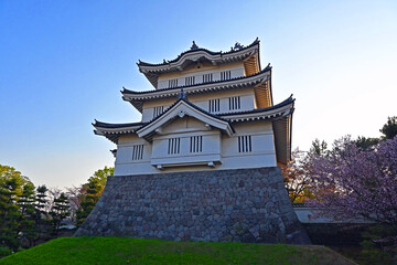 青空と桜の忍城