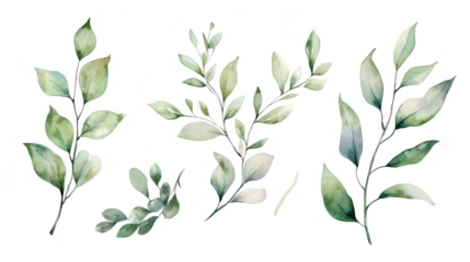 A collection of delicate watercolor leaves in various shades of green. natural beauty and diversity. ideal for botanical illustrations or nature-themed designs