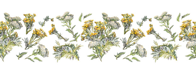 Watercolor seamless border with bouquet yarrow and tansy on white background. Flower milfoil for card wedding invite. Summer or autumn wallpaper or wrapping. Hand-drawn rim for sketchbook