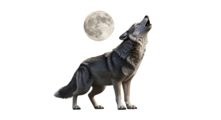 A lone wolf howls at the full moon in a striking display of natures wild spirit.