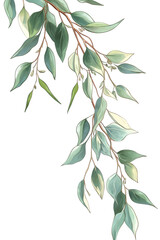 Obraz premium Eucalyptus branch isolated on transparent background, featuring lush green leaves and delicate details, perfect for adding a natural touch to any design project