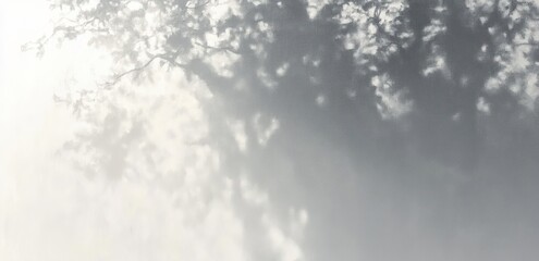 Soft dappled shadow of tree branches and leaves cast on a textured pale wall, diffused sunlight creating a calm, contemplative monochrome pattern