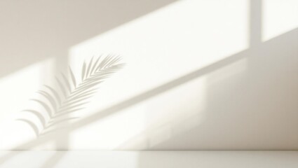 Soft natural light casting a palm leaf shadow on a neutral background