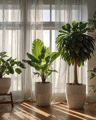 Warm Sunlit Room with Wooden Furniture and Indoor Greenery