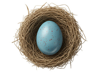 Obraz premium Speckled Blue Easter Egg in Natural Woven Nest